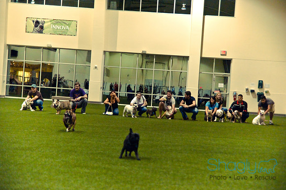 Bulldog Night-58