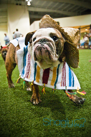 Bulldog Night-37