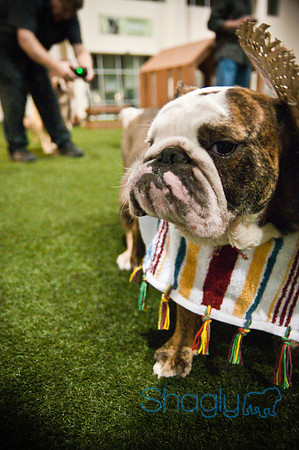 Bulldog Night-38