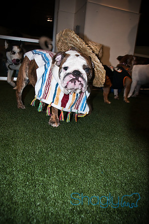 Bulldog Night-35
