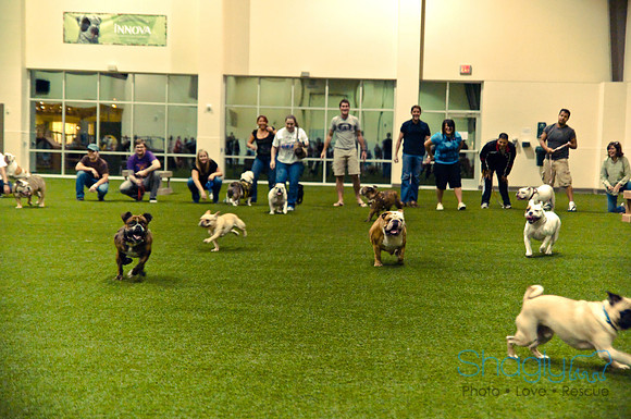 Bulldog Night-59