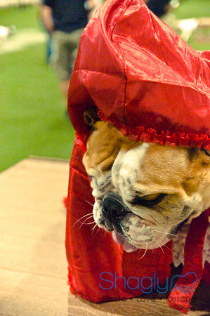 Bulldog Night-29