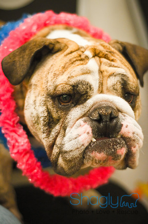 Bully Bash Luau-9