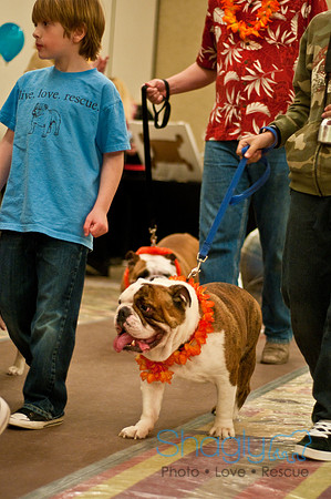 Bully Bash Luau-82