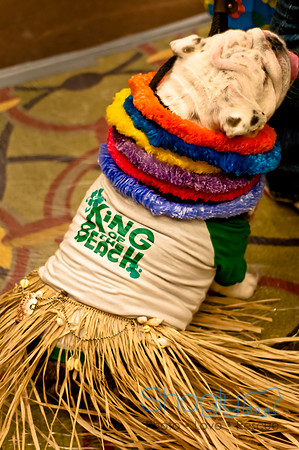 Bully Bash Luau-2