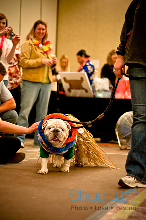 Bully Bash Luau-86