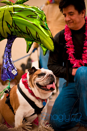 Bully Bash Luau-45