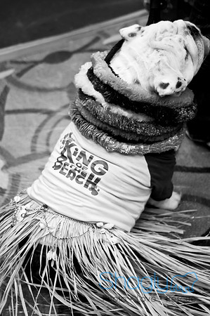 Bully Bash Luau-3