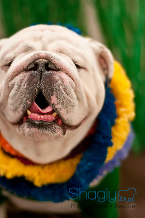 Bully Bash Luau-18