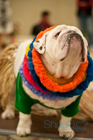 Bully Bash Luau-74