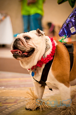 Bully Bash Luau-47