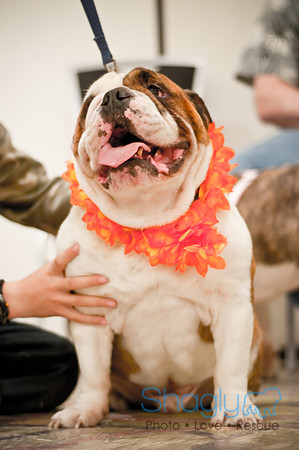Bully Bash Luau-43