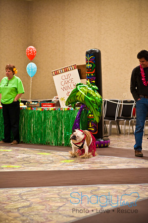 Bully Bash Luau-16