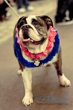 Bully Bash Luau-59