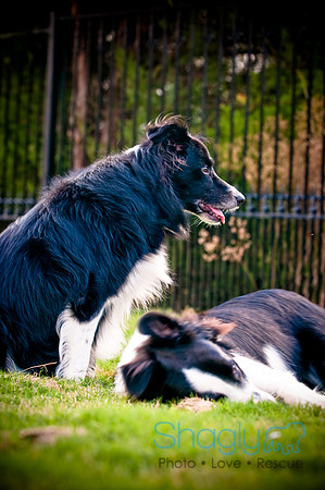Beaux & Bandit-68