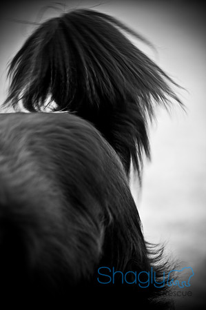 Beaux & Bandit-29