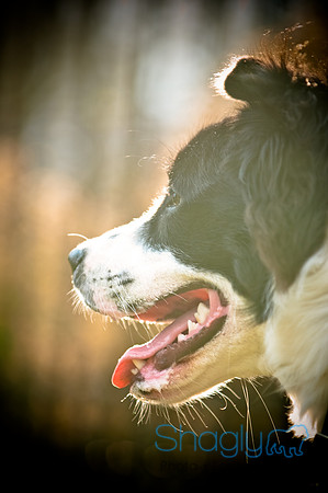Beaux & Bandit-51