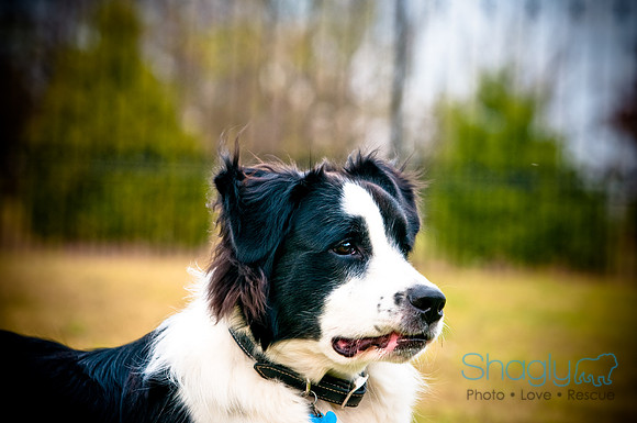 Beaux & Bandit-23