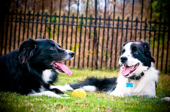 Beaux & Bandit-76