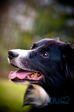 Beaux & Bandit-33