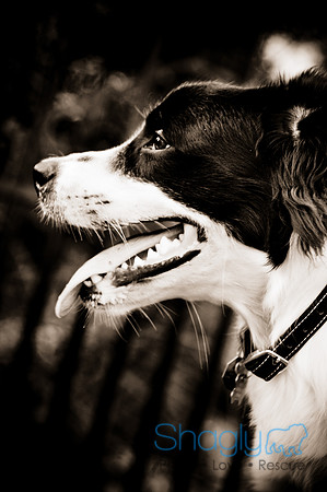 Beaux & Bandit-61