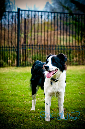 Beaux & Bandit-32