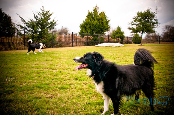 Beaux & Bandit-34