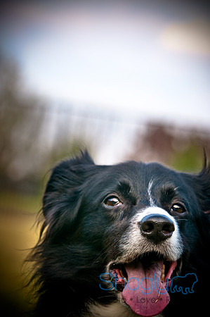 Beaux & Bandit-2