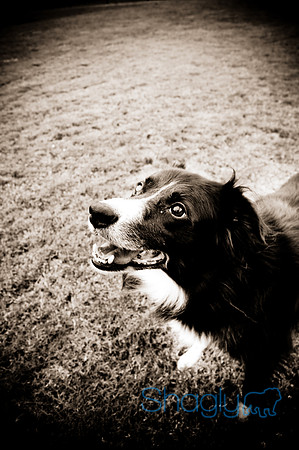 Beaux & Bandit-36