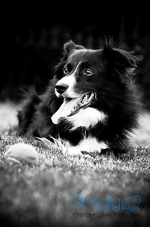 Beaux & Bandit-82