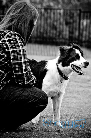 Beaux & Bandit-18