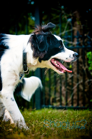Beaux & Bandit-53