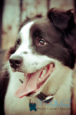 Beaux & Bandit-54