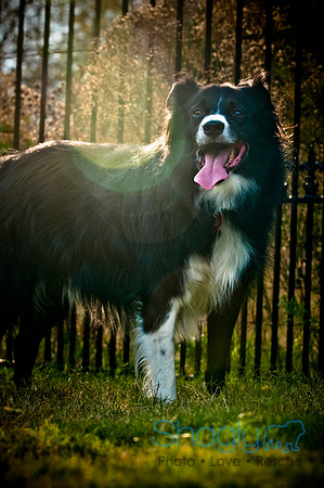 Beaux & Bandit-59