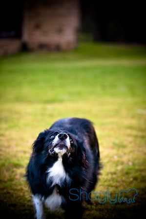 Beaux & Bandit-87