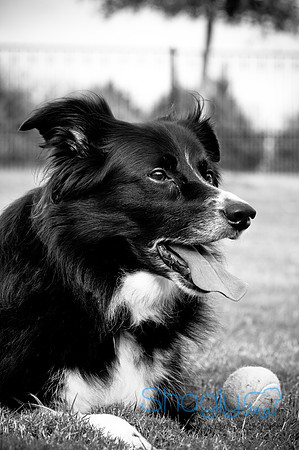 Beaux & Bandit-11
