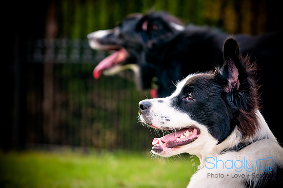 Beaux & Bandit-71