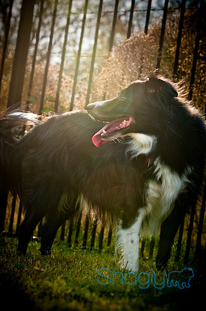 Beaux & Bandit-58