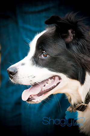 Beaux & Bandit-47
