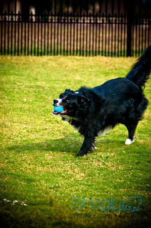 Beaux & Bandit-6