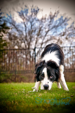 Beaux & Bandit-42
