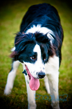 Beaux & Bandit-44