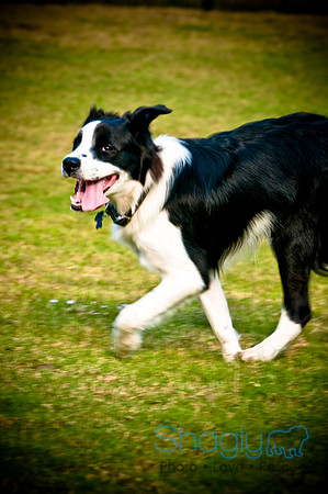 Beaux & Bandit-7