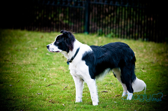 Beaux & Bandit-46
