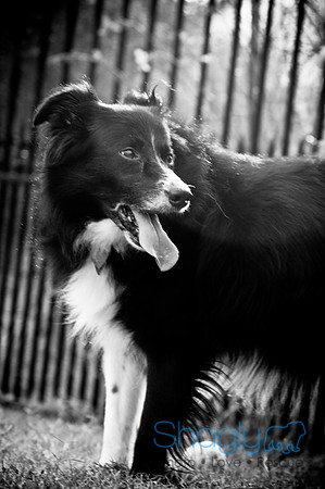 Beaux & Bandit-56