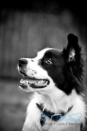 Beaux & Bandit-99