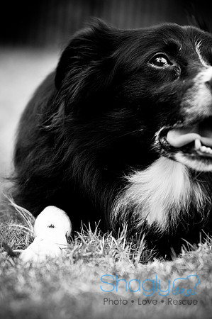 Beaux & Bandit-102