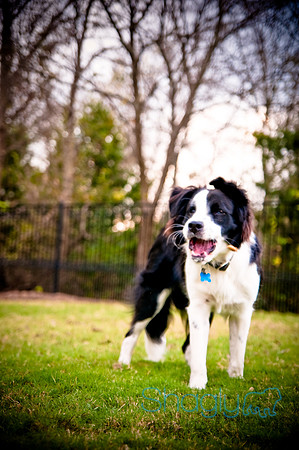 Beaux & Bandit-43