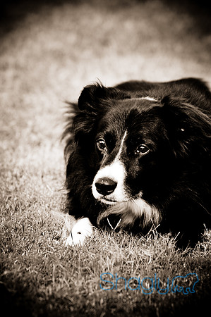 Beaux & Bandit-5
