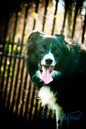 Beaux & Bandit-57